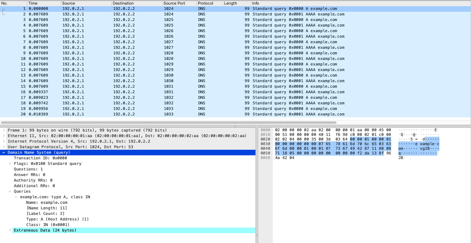 DNS Requests Capture